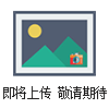 2702寶德過(guò)程控制閥2702型氣動(dòng)閥